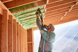 Best Eco-Friendly or Green Insulation Solutions  in Springfield, MN